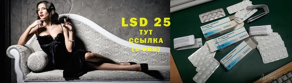 прущие грибы Баксан