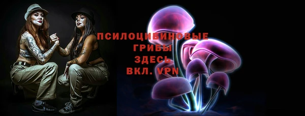 прущие грибы Баксан