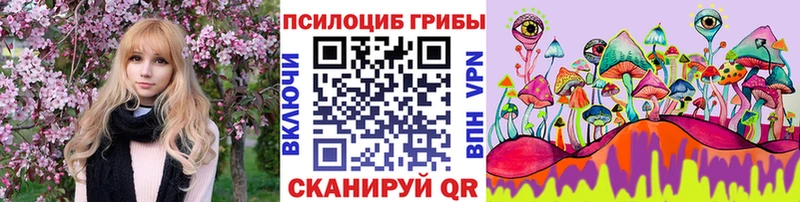Галлюциногенные грибы прущие грибы  Купить  Щучье 
